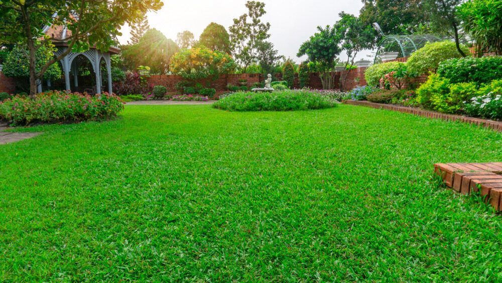 Garden With Lush Green Lawn, Surrounded by Flowers and Trees — Banksia Turf In Laurieton, NSW