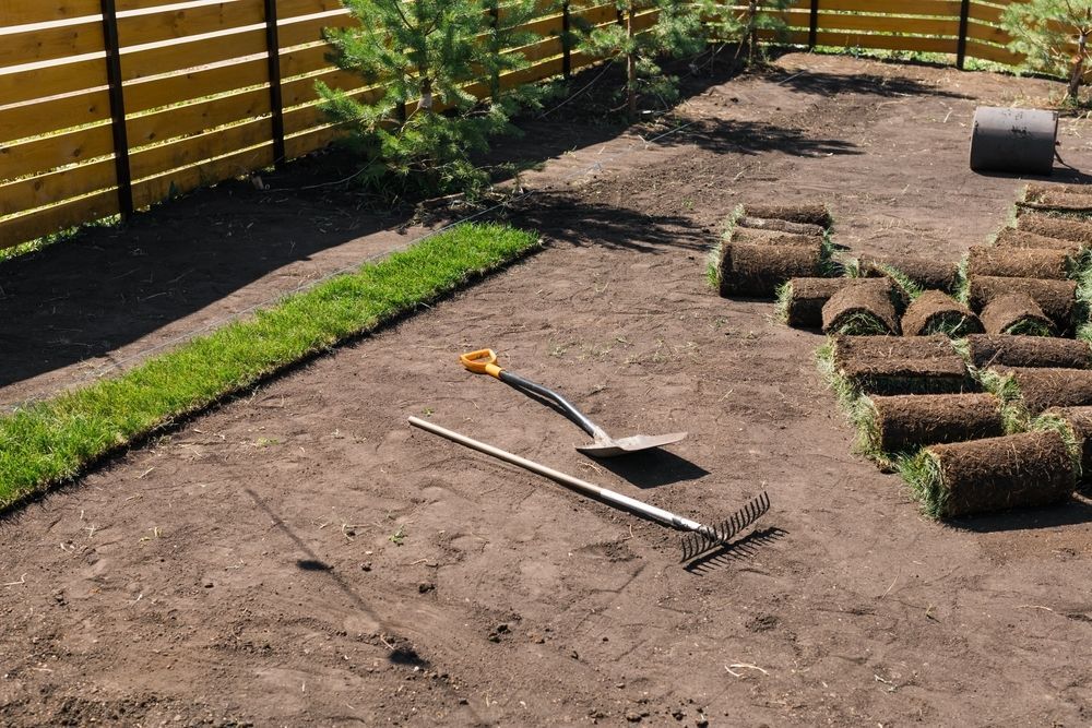Freshly Prepared Garden With Rolls of Sod — Banksia Turf In Wauchope, NSW