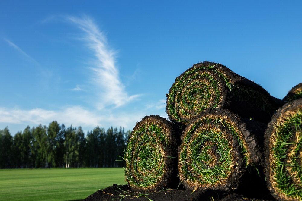 Stack of Rolled Sod Sits on Dark Soil — Banksia Turf In Harrington, NSW