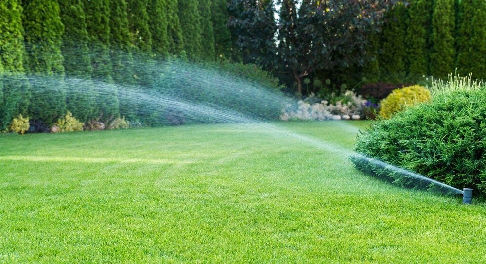 Lawn Sprinkler Watering a Lush Green Lawn in A Garden — Banksia Turf in Forster, NSW