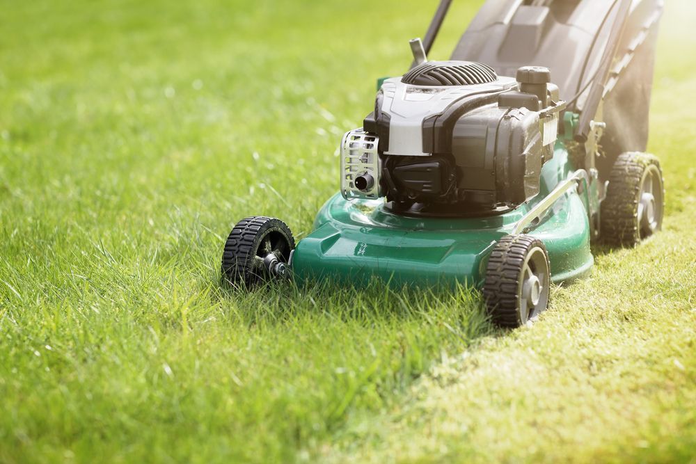Green Lawn Mower Cutting Grass on a Sunlit Lawn — Banksia Turf In Old Bar, NSW