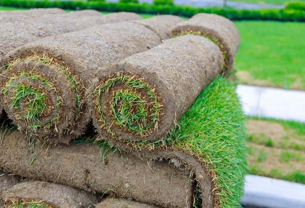 Rolled Grass Sods Stacked Neatly — Banksia Turf In Tuncurry, NSW