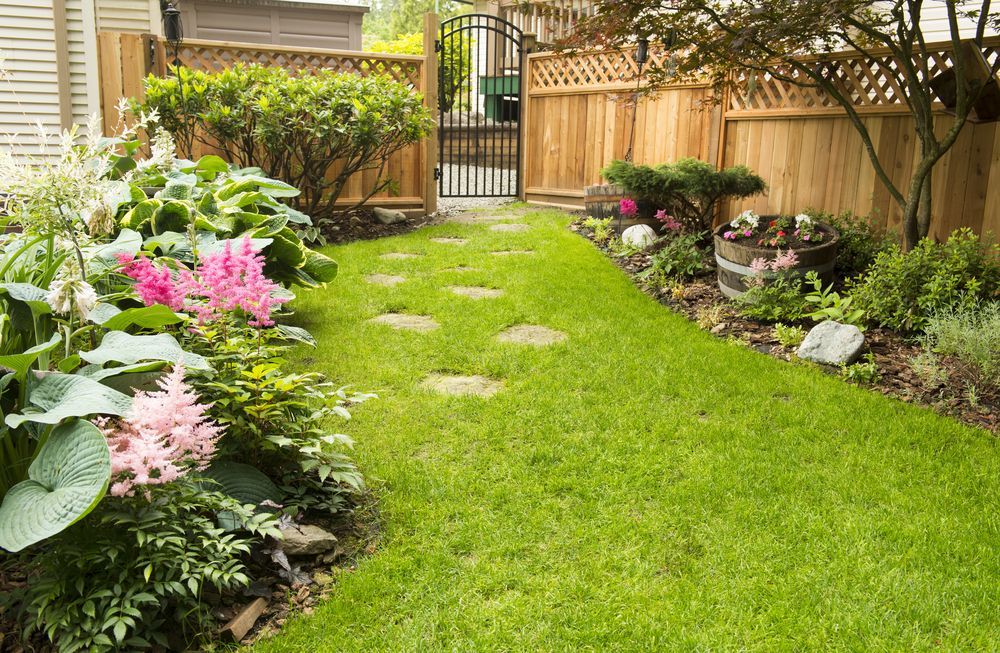 Lush Garden With a Vibrant Green Lawn and Stepping Stones — Banksia Turf In Harrington, NSW