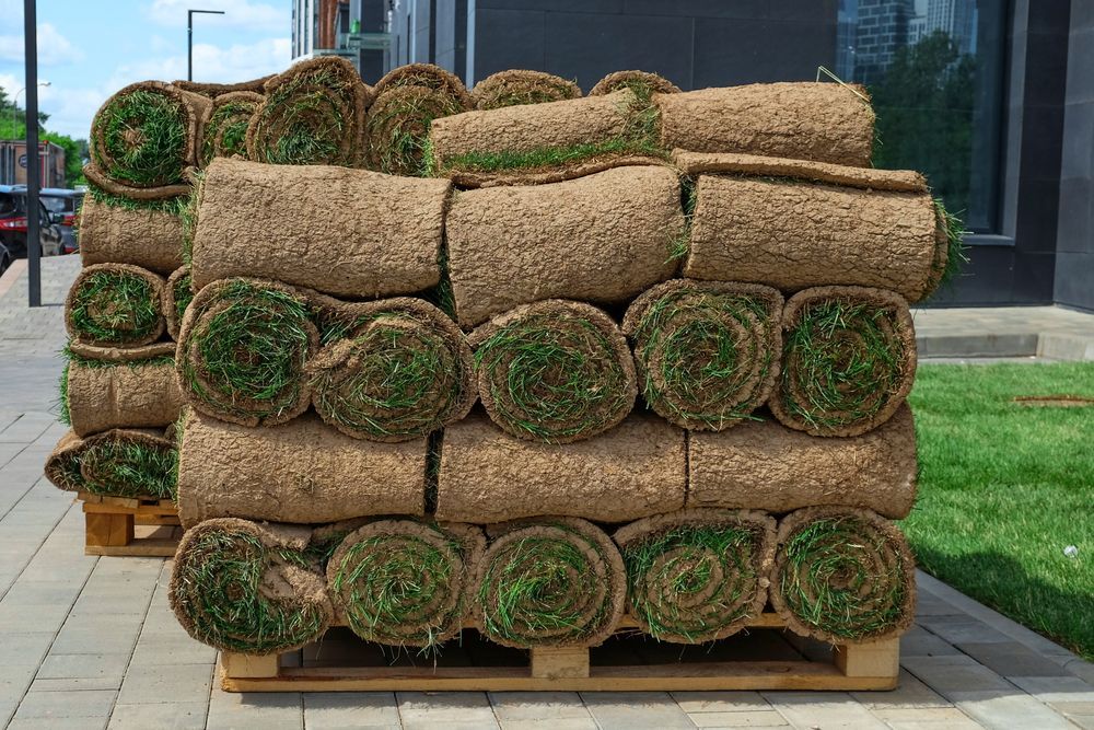 Stacked Rolls of Sod on Wooden Pallets — Banksia Turf In Harrington, NSW
