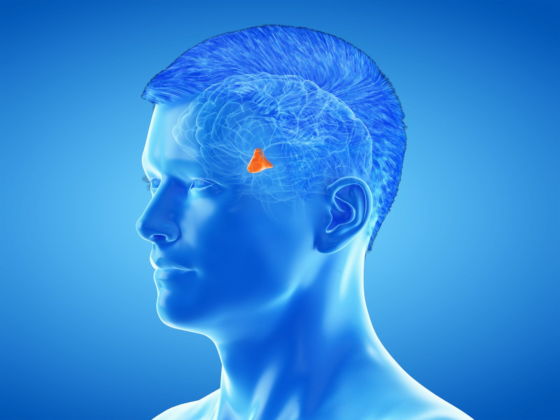 Especialista em tumor cerebral no Rio de Janeiro Especialista em tumor cerebral no Rio de Janeiro