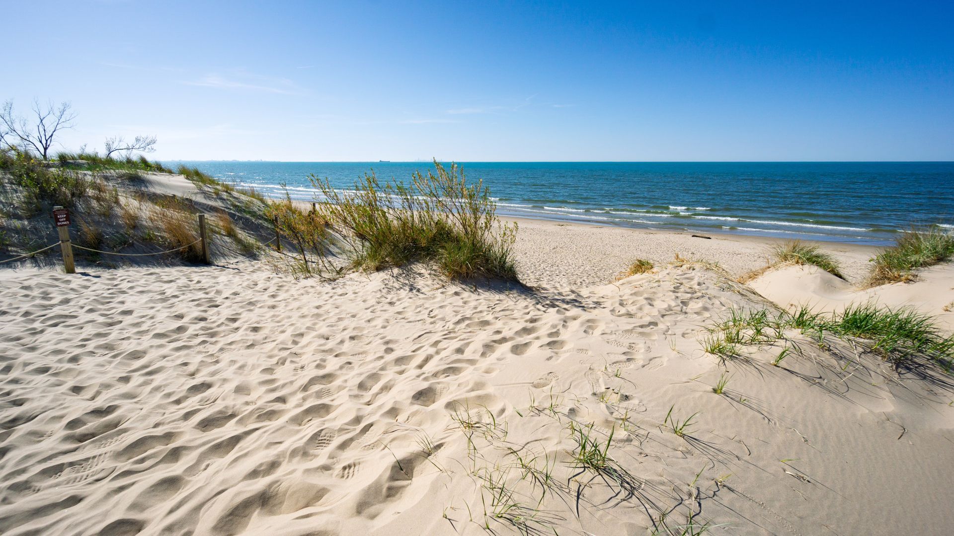 Sandy beach with dunes, green vegetation, and blue ocean under a clear sky.