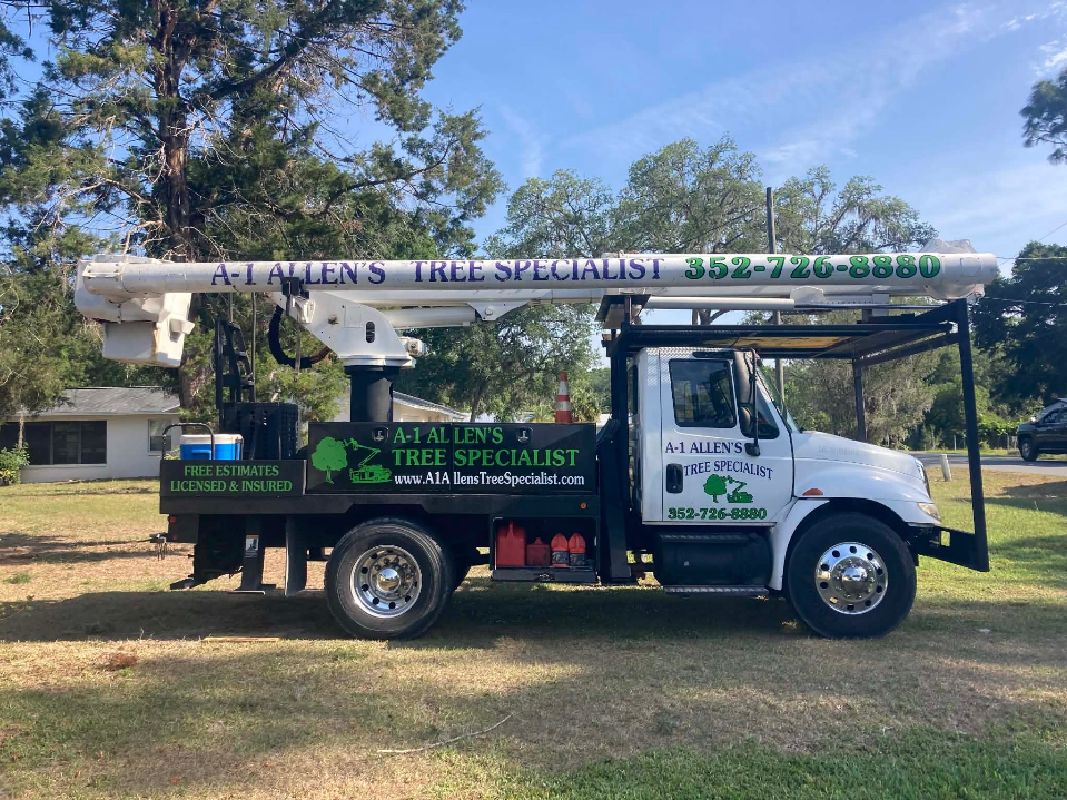 Tree service truck with boom parked on grass under trees on a sunny day