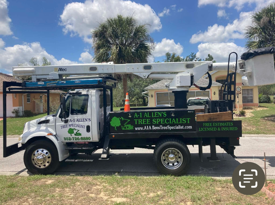 White bucket truck with “Allens Tree Specialist” signage parked on grass under a blue sky.