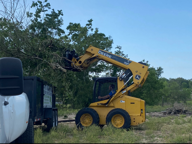 Yellow skid-steer loader lifting tree branches beside a truck in a grassy field