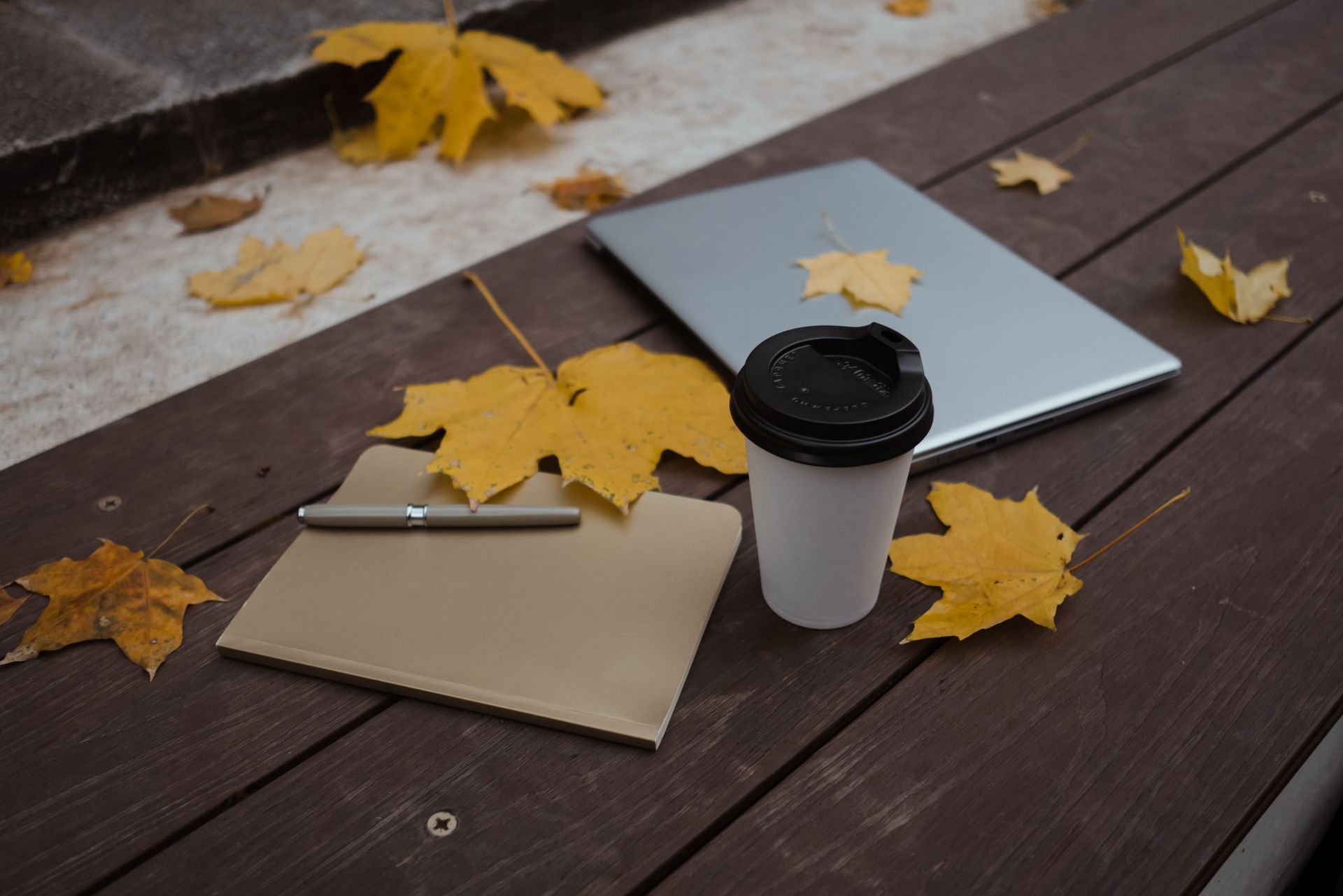 Website updating tips SimplicityDMS Keene NH