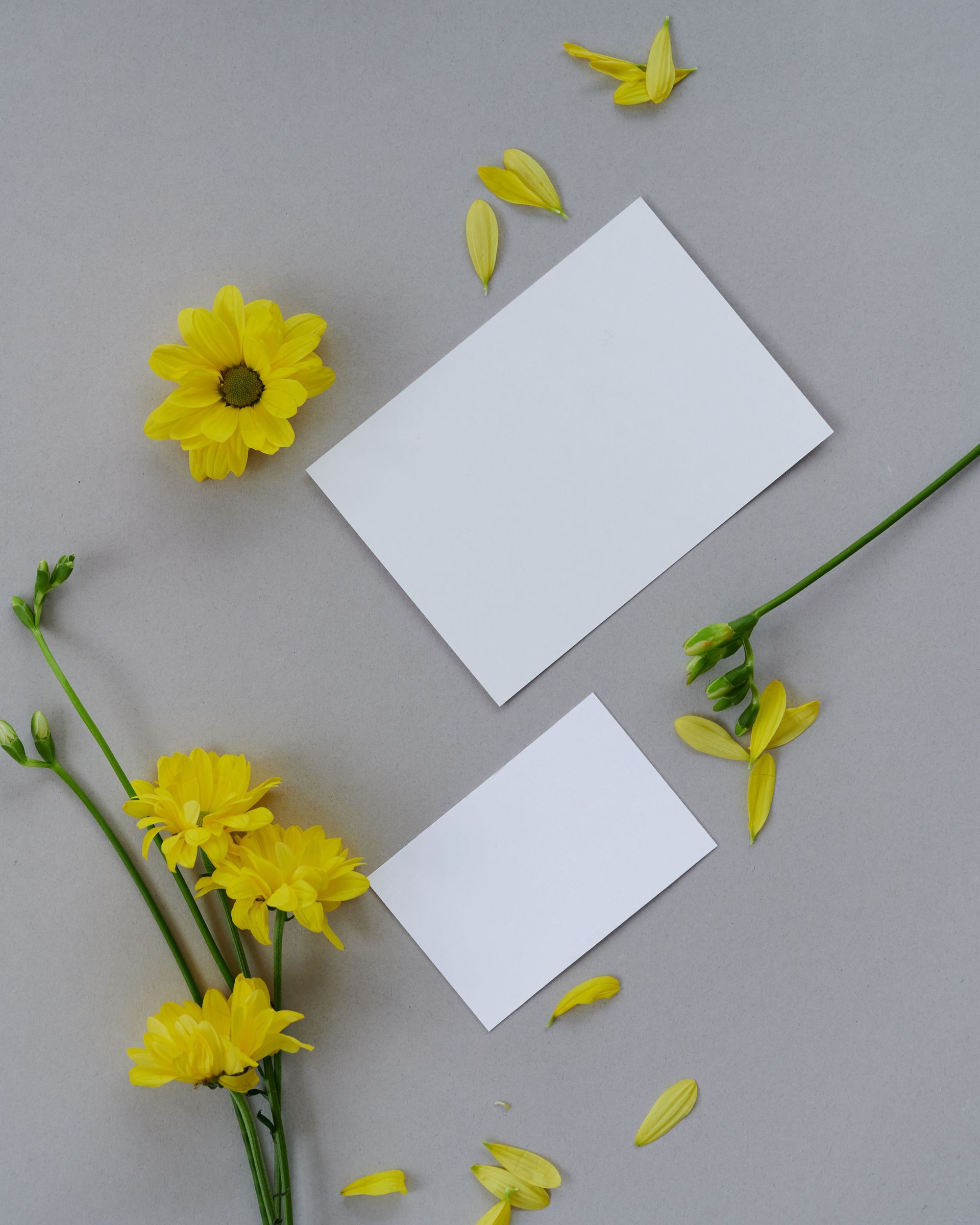 content creation for web design