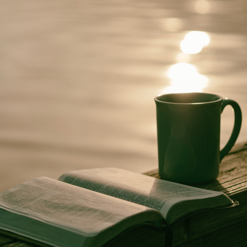 Bible Study