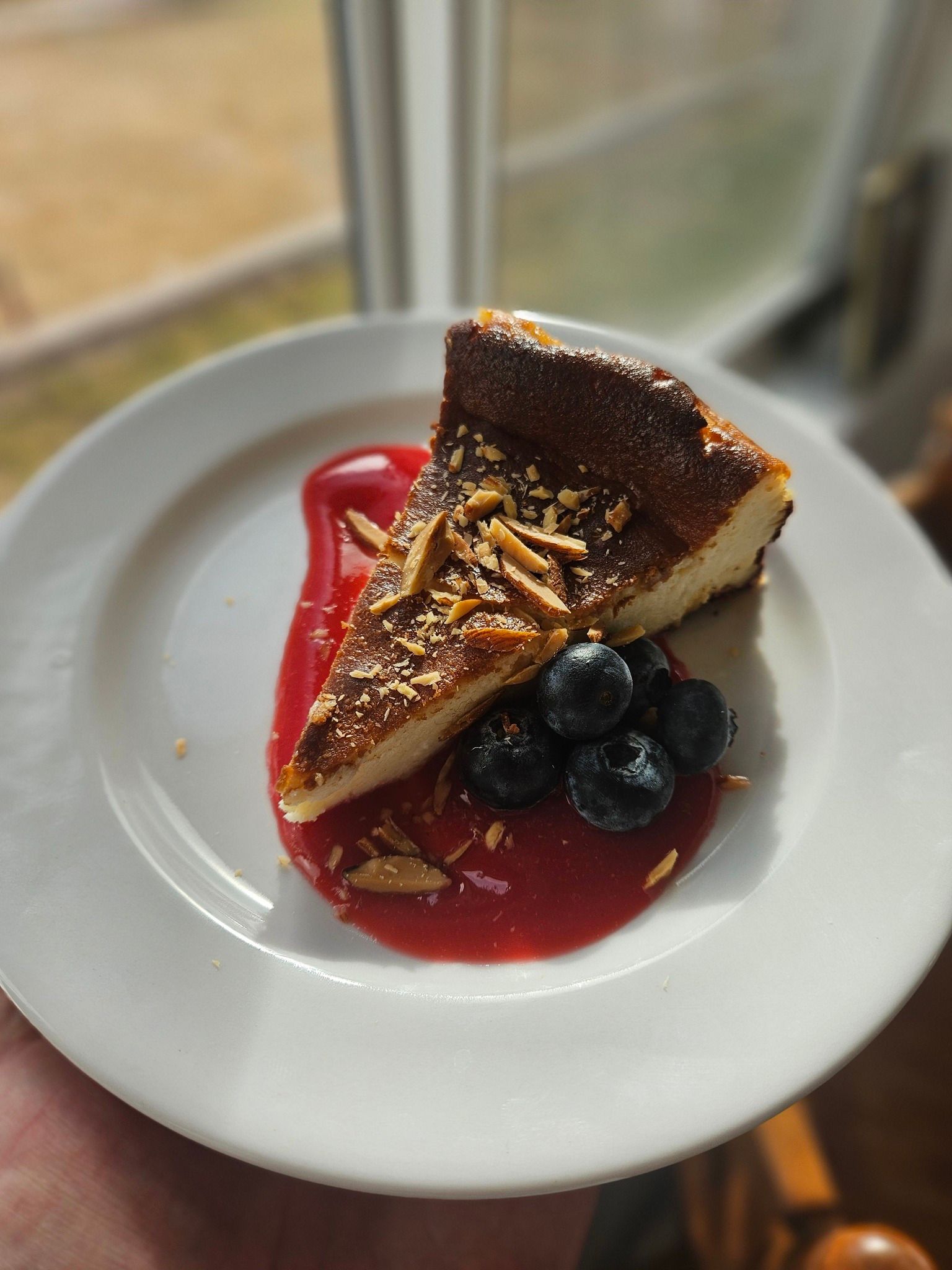 Slice of cake with chocolate drizzle, berry sauce, and blueberries on a white plate near a window