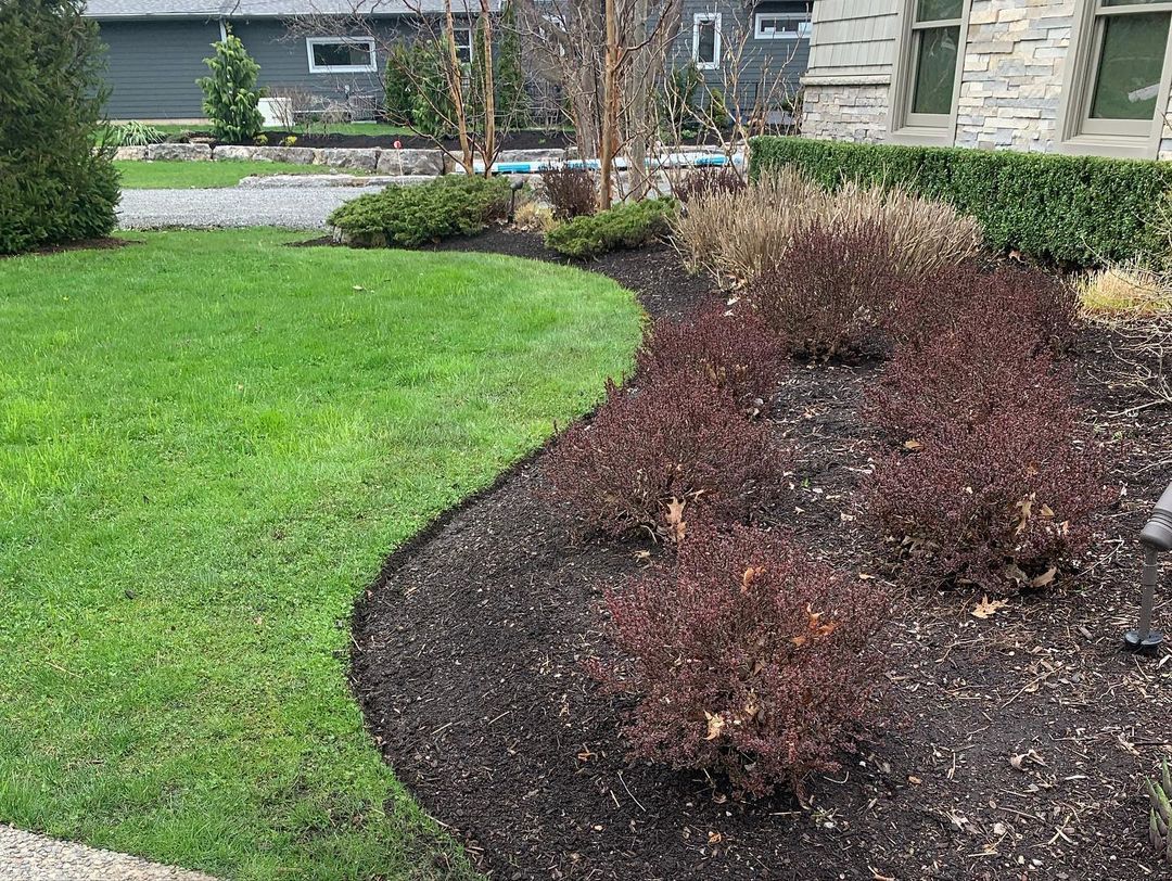 A lush green lawn with a lot of mulch and shrubs in front of a house.