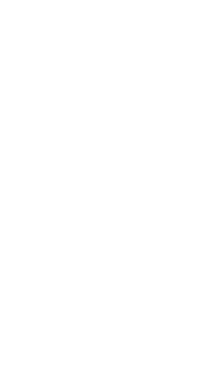 Phoenix Rising SS