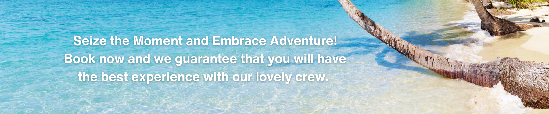 A blurred image of a beach with palm trees and the words 