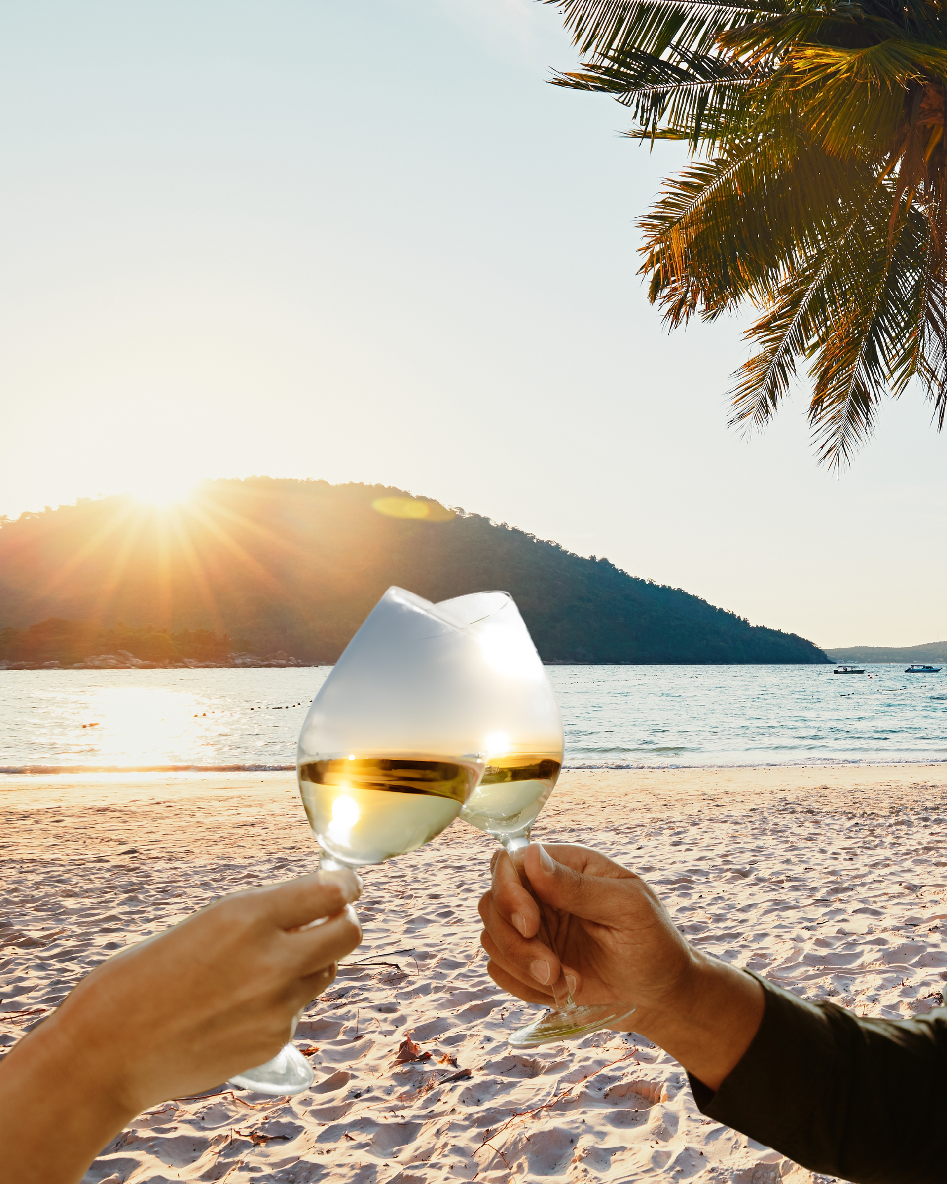 Two people toasting with wine glasses on the beach