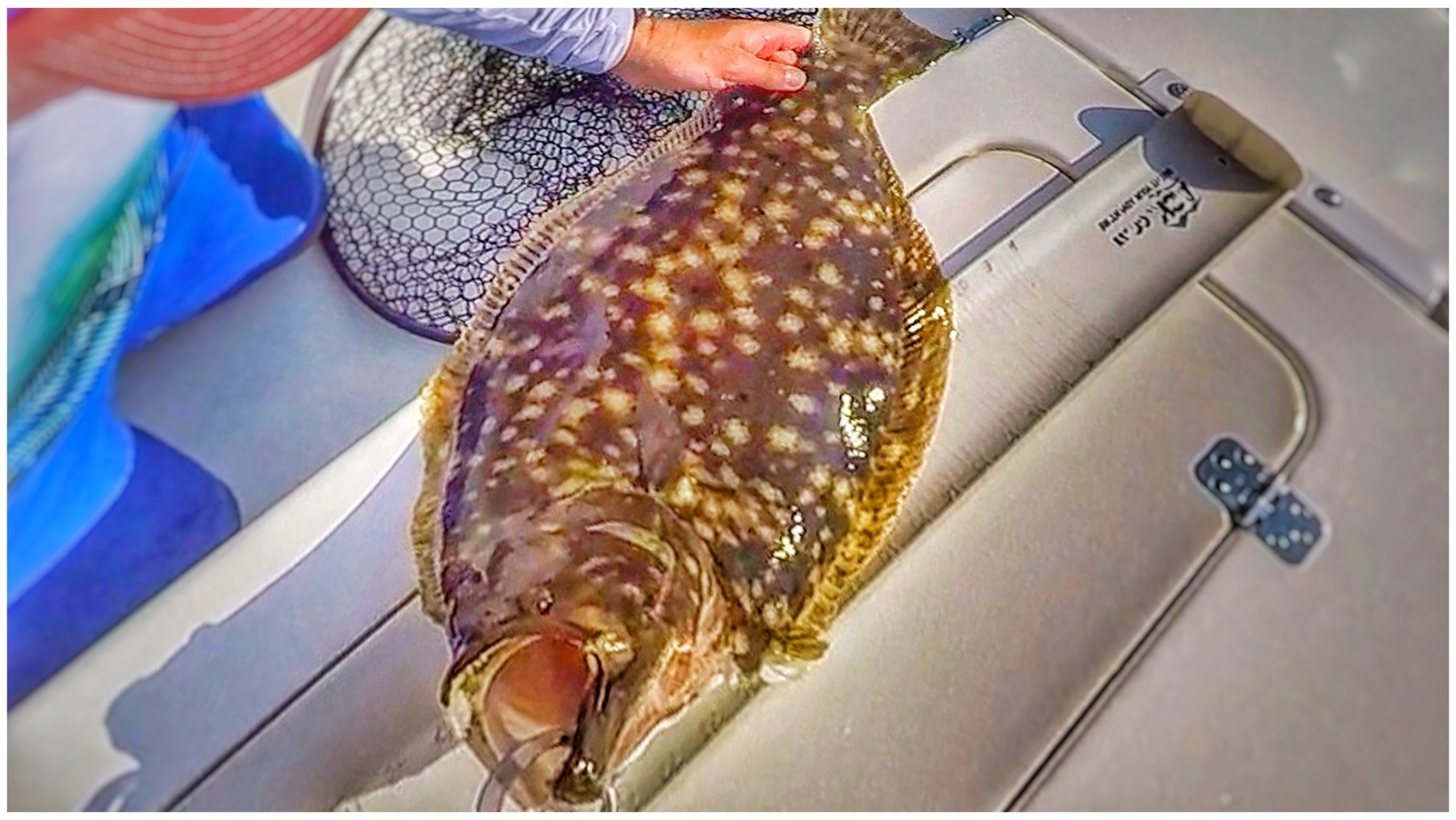 Fishing Charters | Southern Reels | Virginia Beach VA