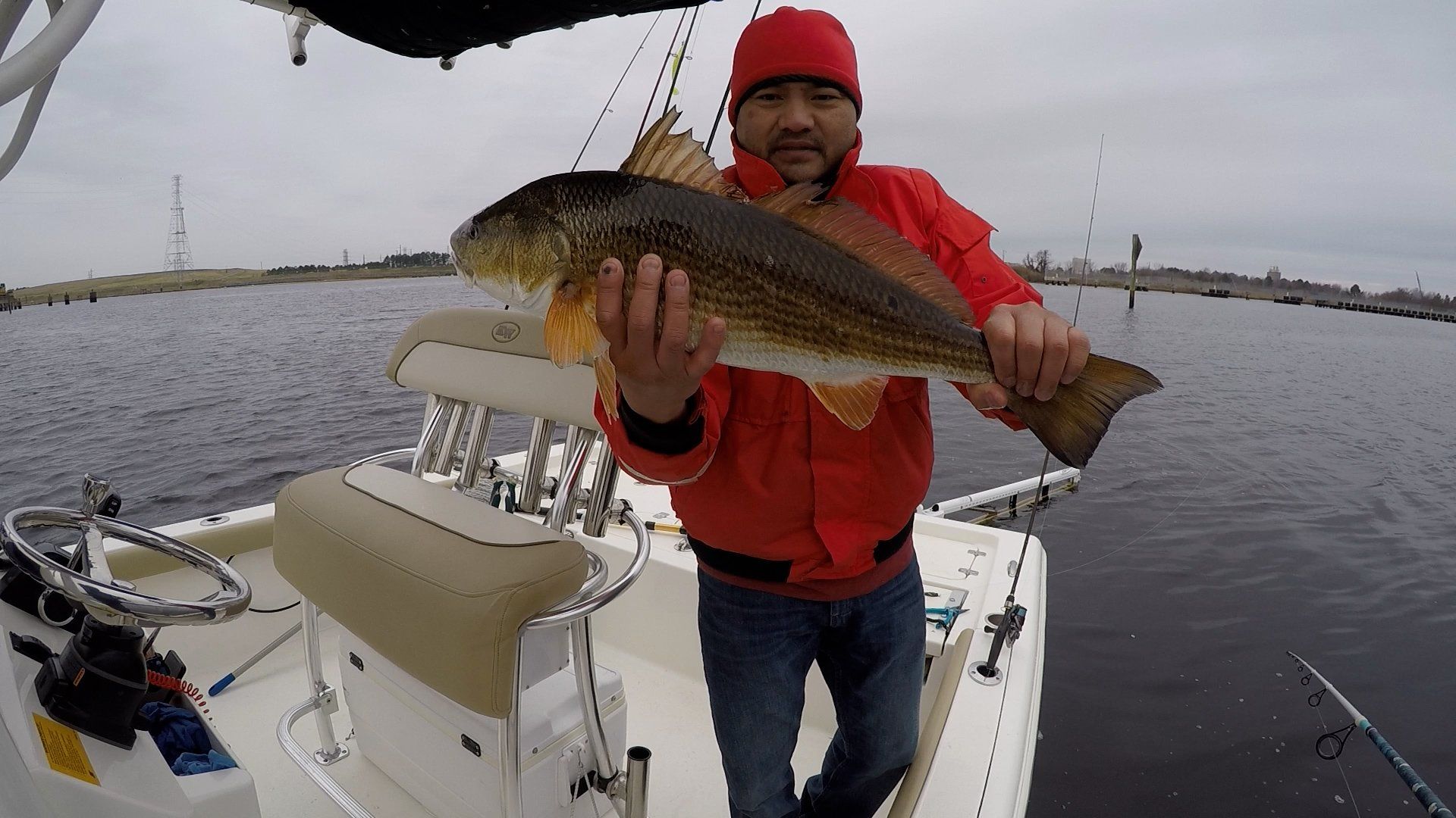 Inshore Redfish Action