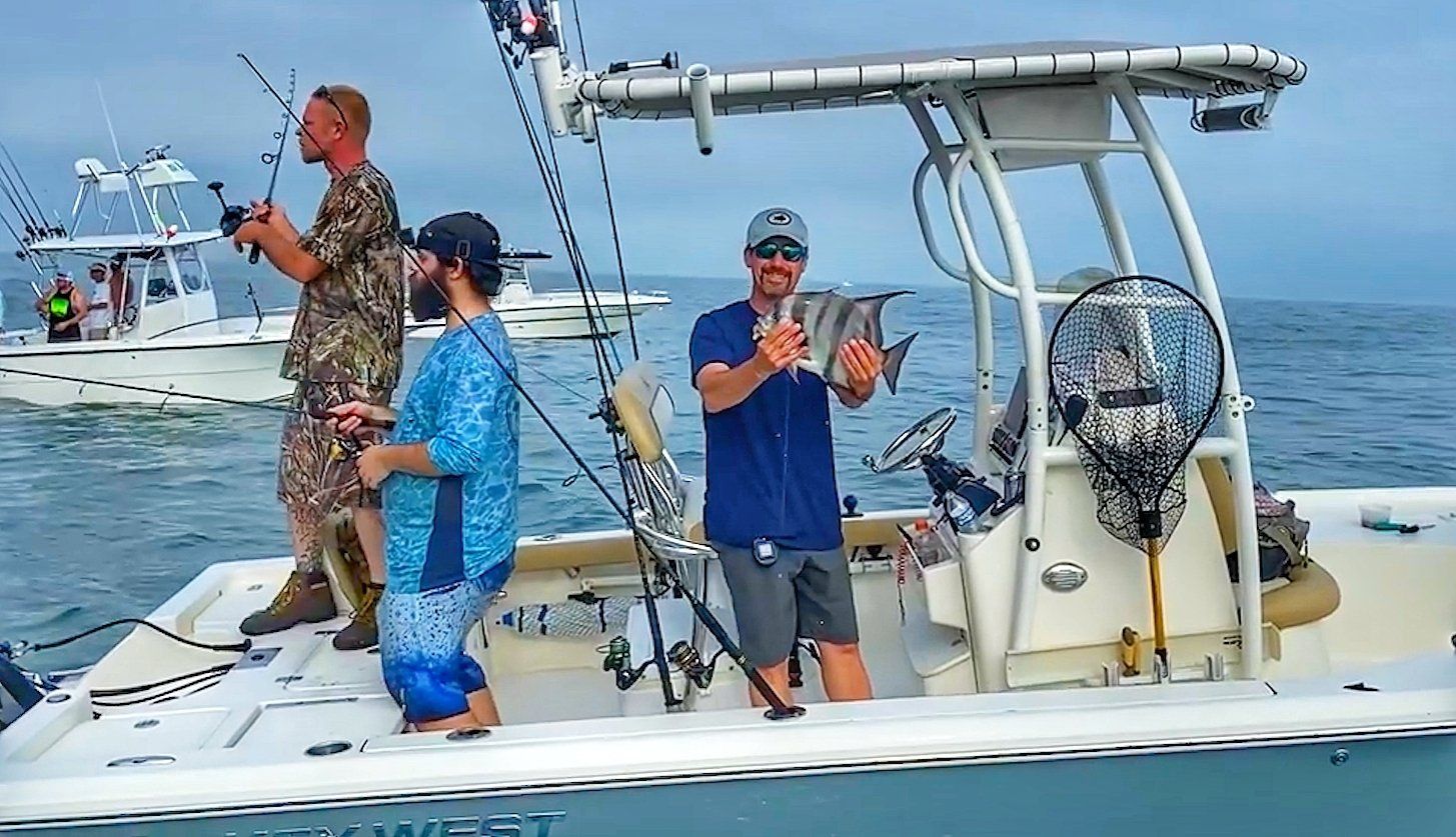 Nice Spadefish