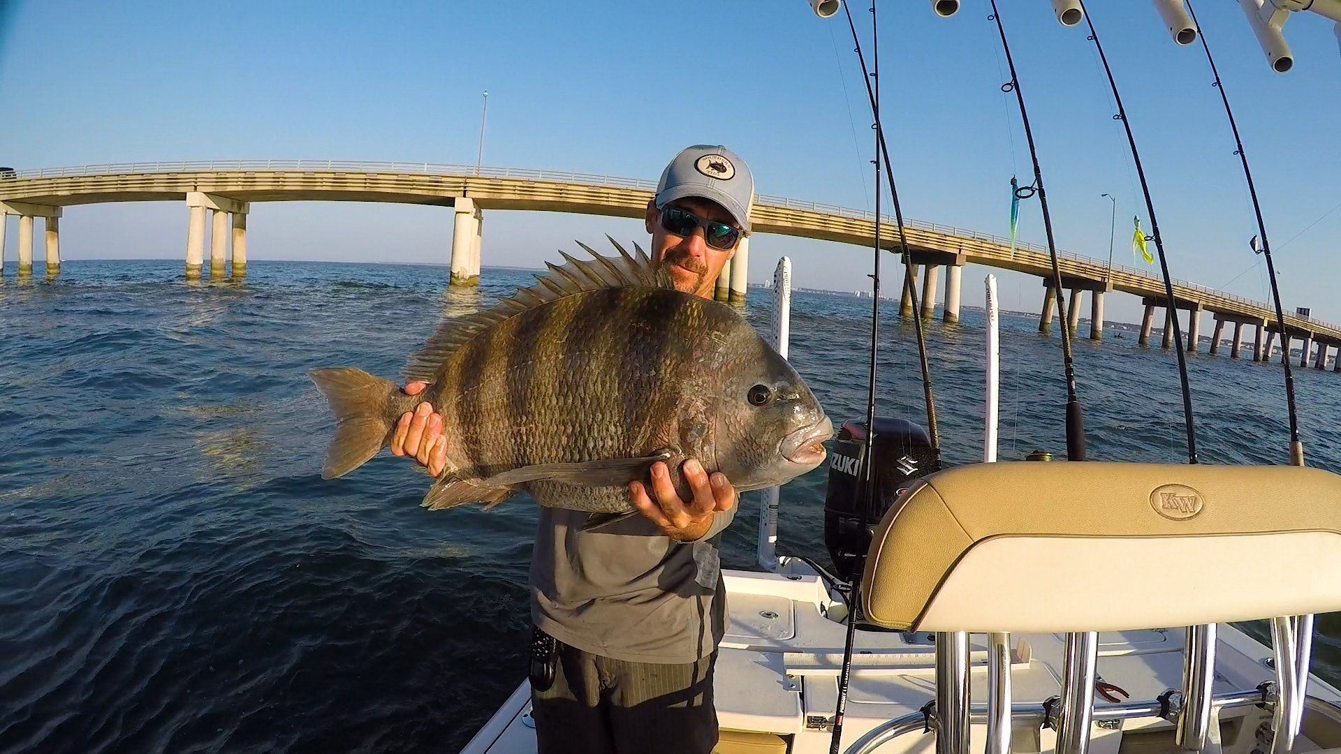 Very Large Sheepshead