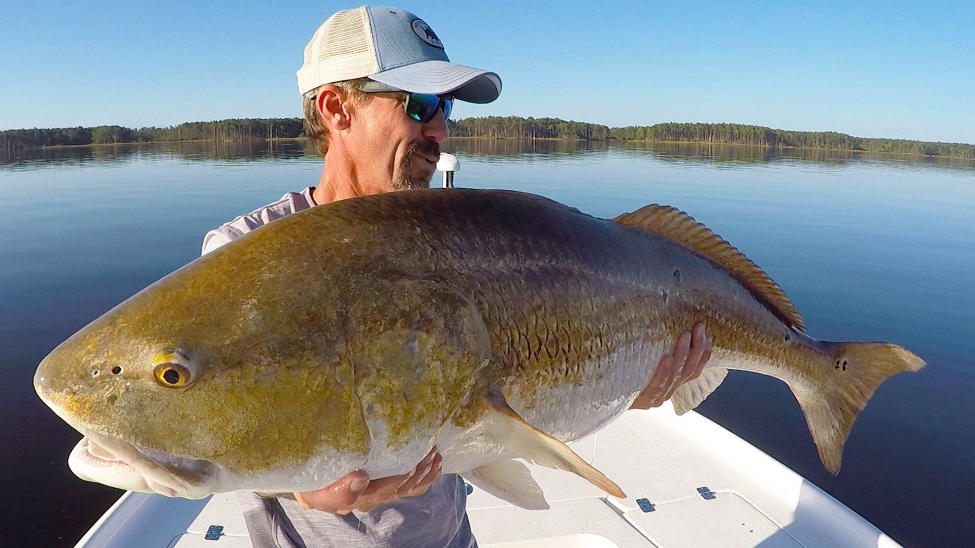 Giant Bull Drum