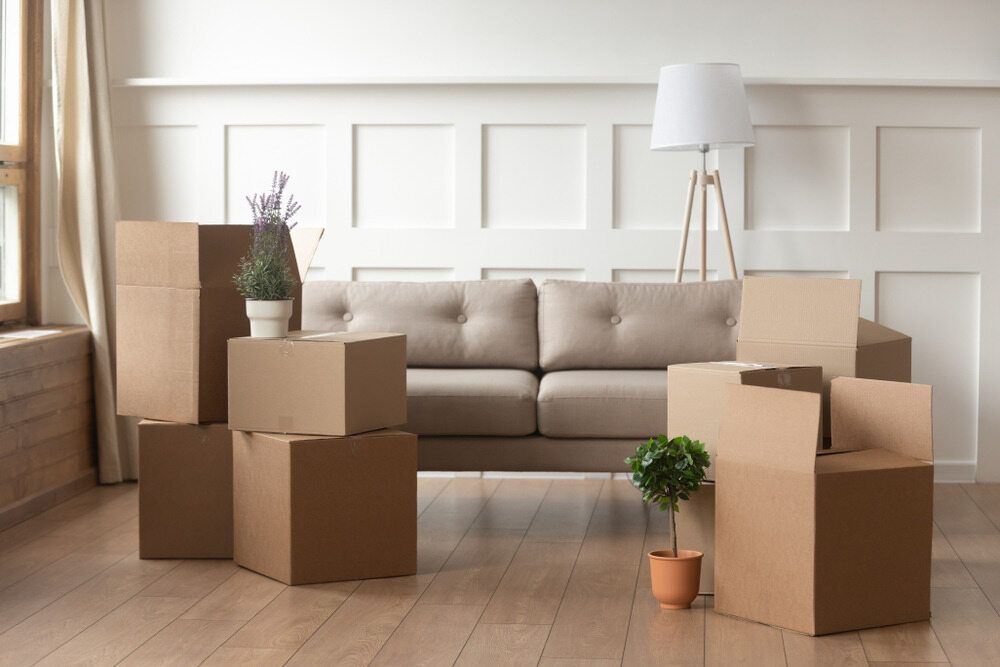 A living room filled with cardboard boxes and a couch — Roderick Removals & Van Lines In Emerald, QLD