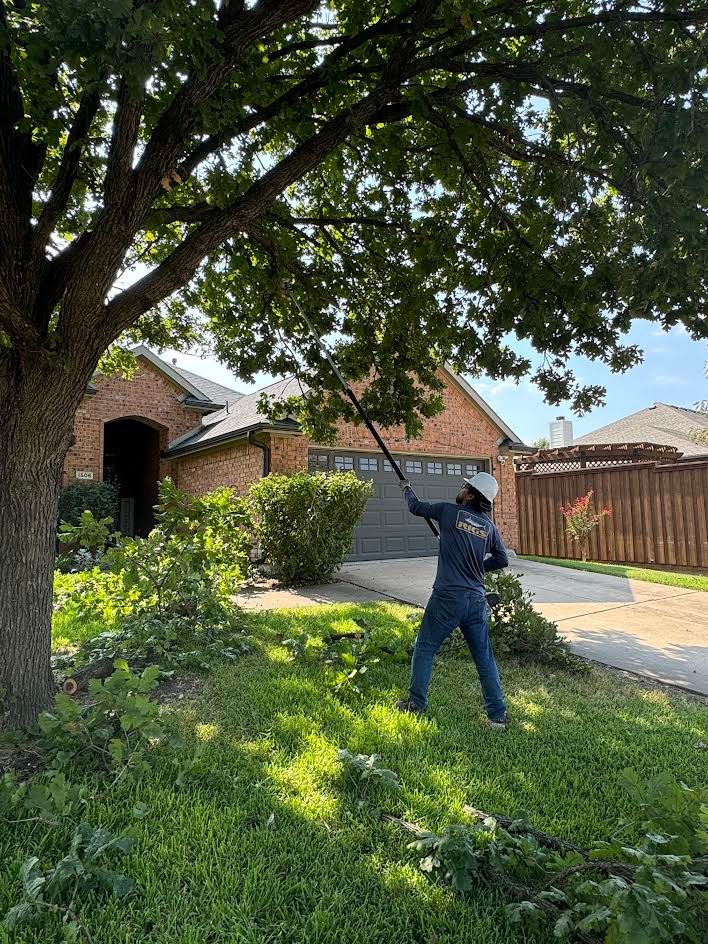 Our Work | D & M Tree Service | Royse City, TX