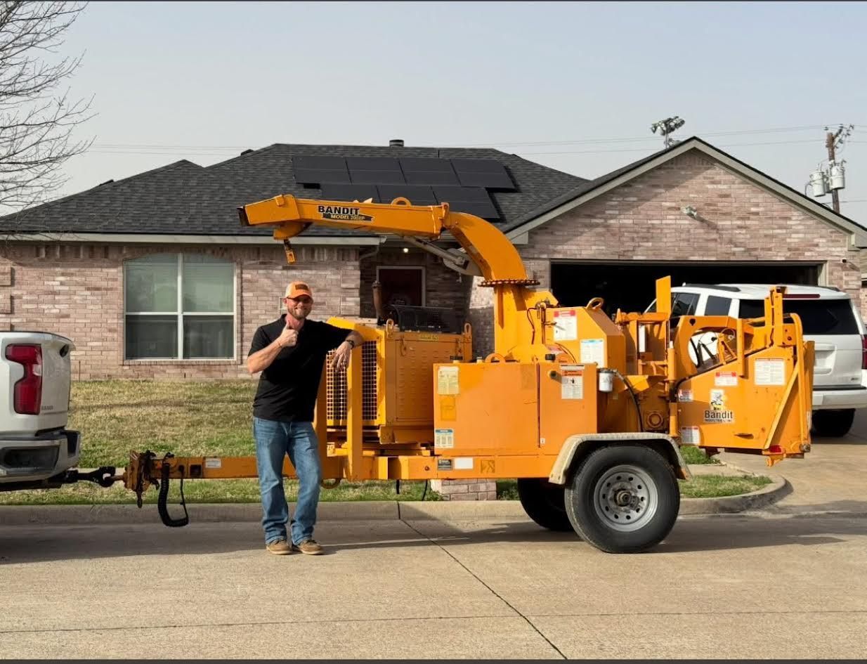 About Tree Services | D & M Tree Service | Royse City, TX