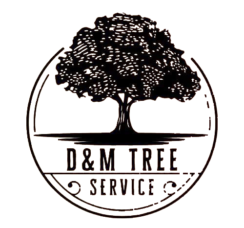 Black and white logo: tree inside a circle, with "D&M TREE SERVICE" text.