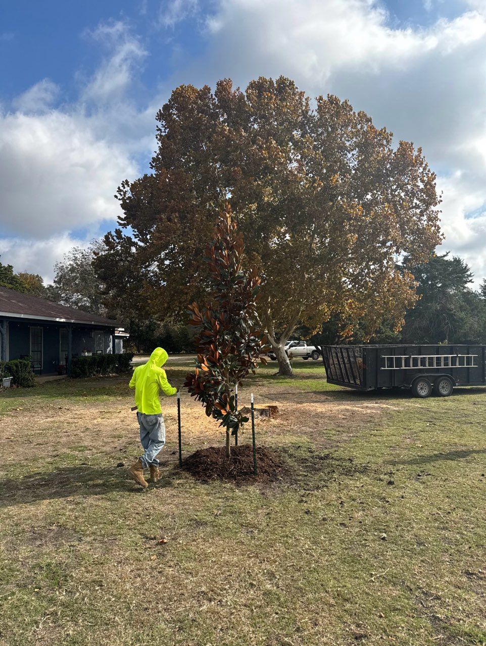 Our Work | D & M Tree Service | Royse City, TX