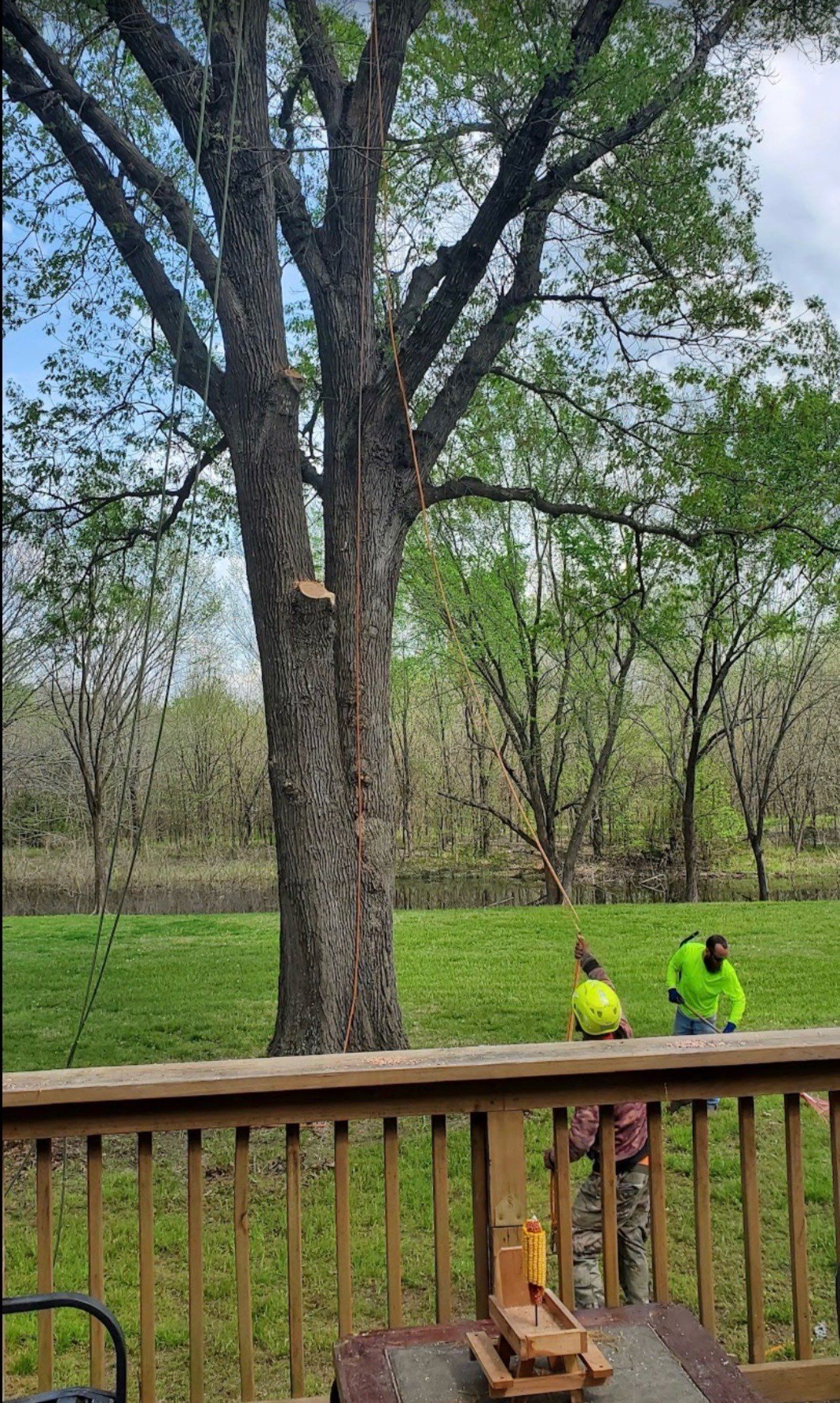 Our Work | D & M Tree Service | Royse City, TX