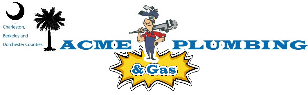 ACME Plumbing & Gas logo with cartoon plumber, palm tree, and blue text