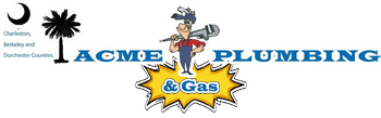 ACME Plumbing & Gas logo with cartoon plumber, palm tree, and blue text