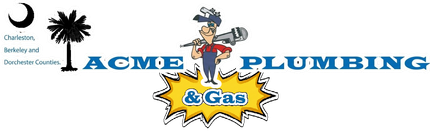 ACME Plumbing & Gas logo with cartoon plumber, palm tree, and blue text