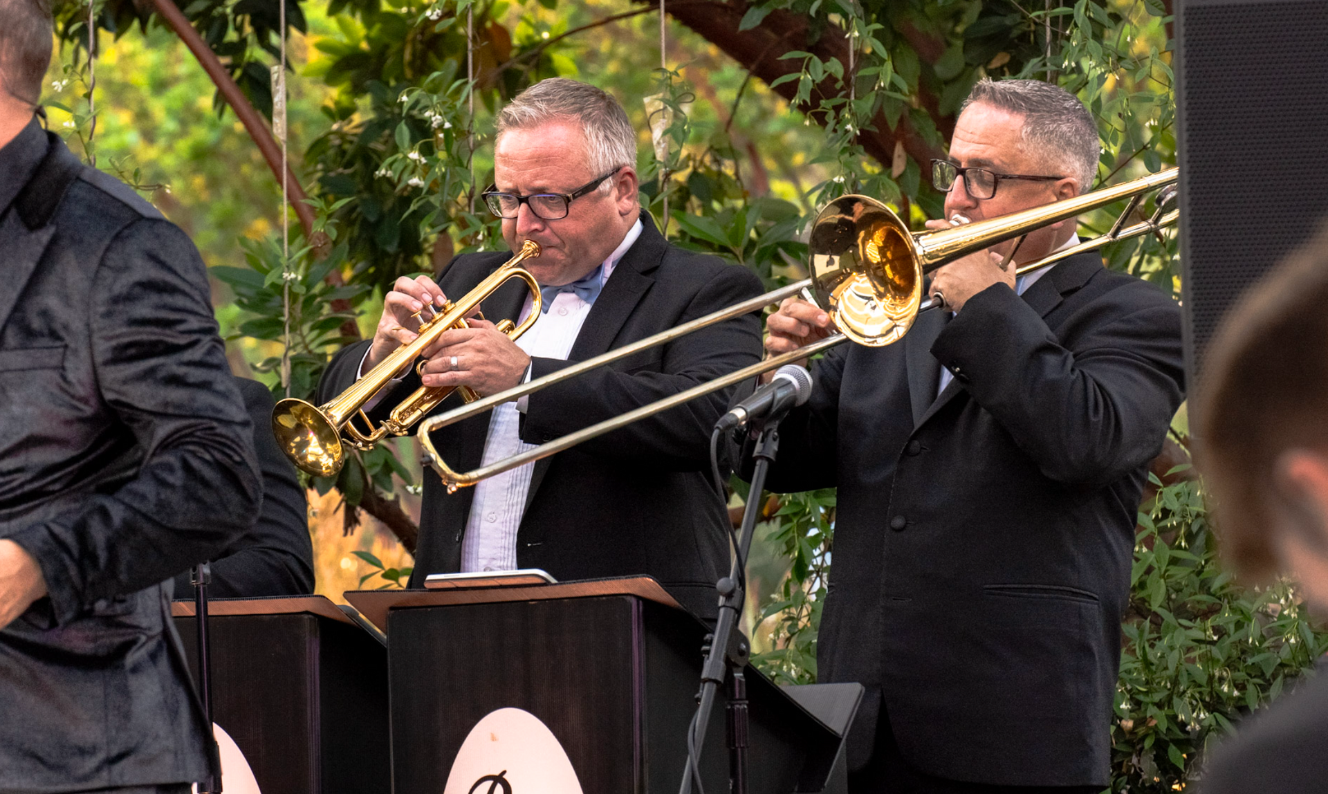 horn section of live band