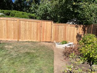 New cedar fence along a wet backyard garden with trees and overcast sky.