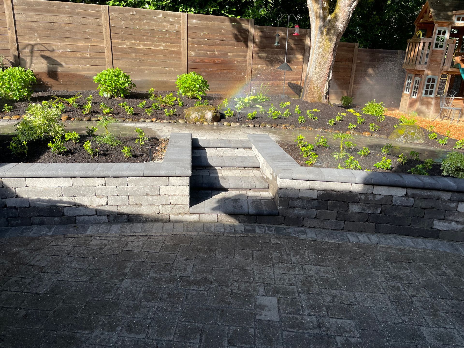 Backyard garden bed with stone steps, young plants, and a wooden fence in sunlight