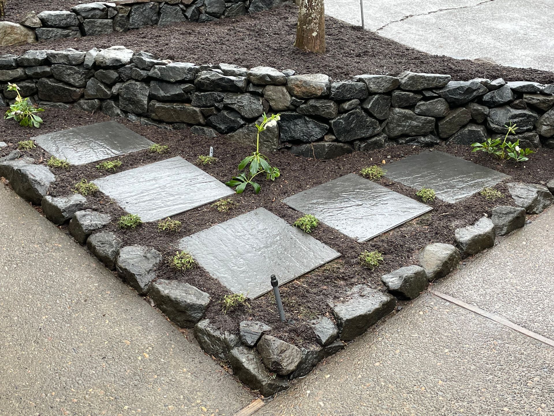 Stone-paved triangular planter bed with small plants beside a low rock wall