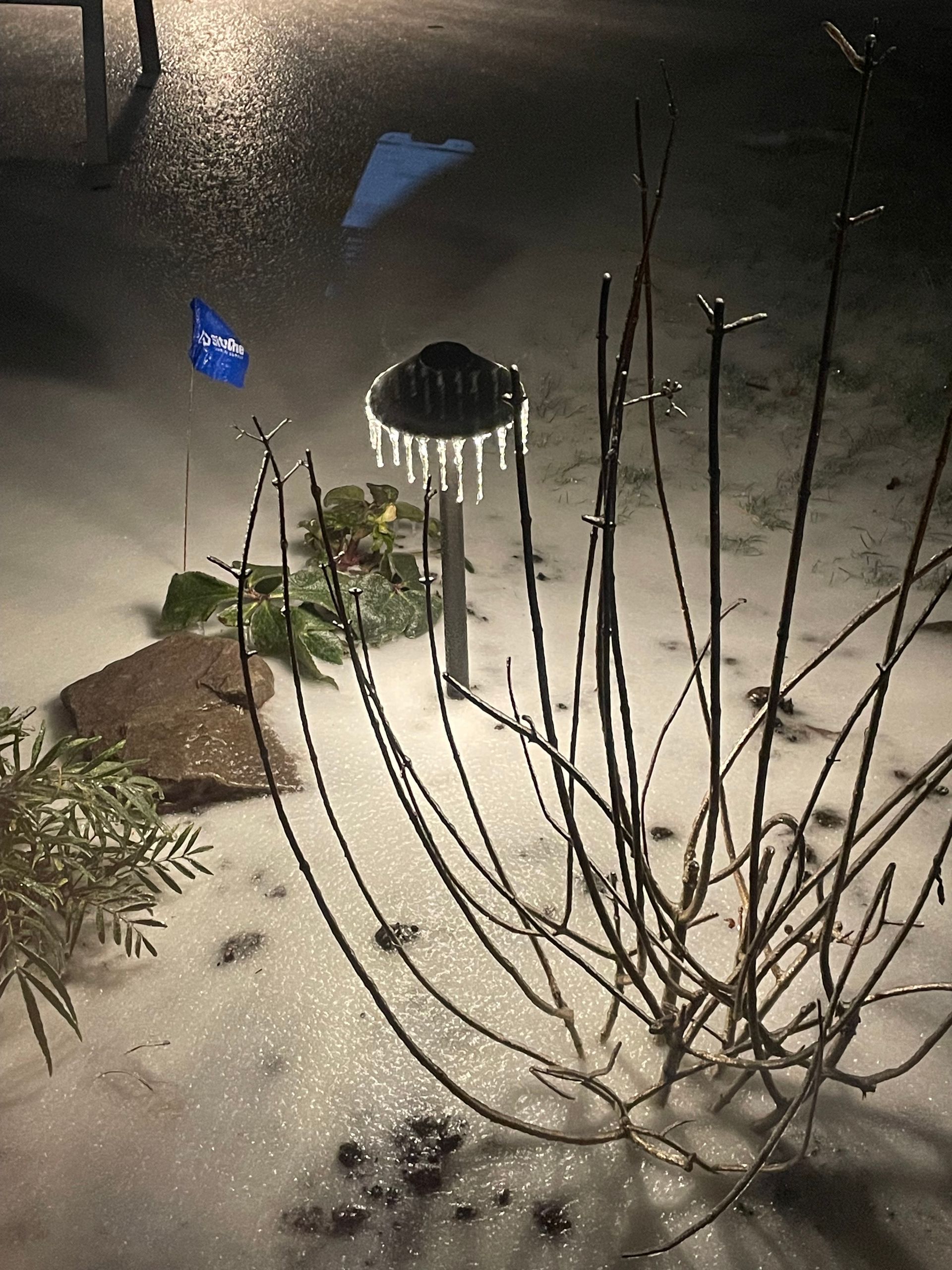 Snowy patio with a small lamp, bare shrub branches, and wet pavement at night