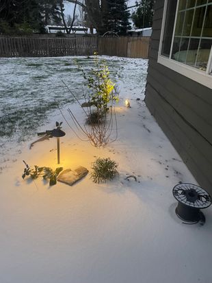 Snow-covered backyard with lit garden path lights and a small illuminated shrub beside a house window.