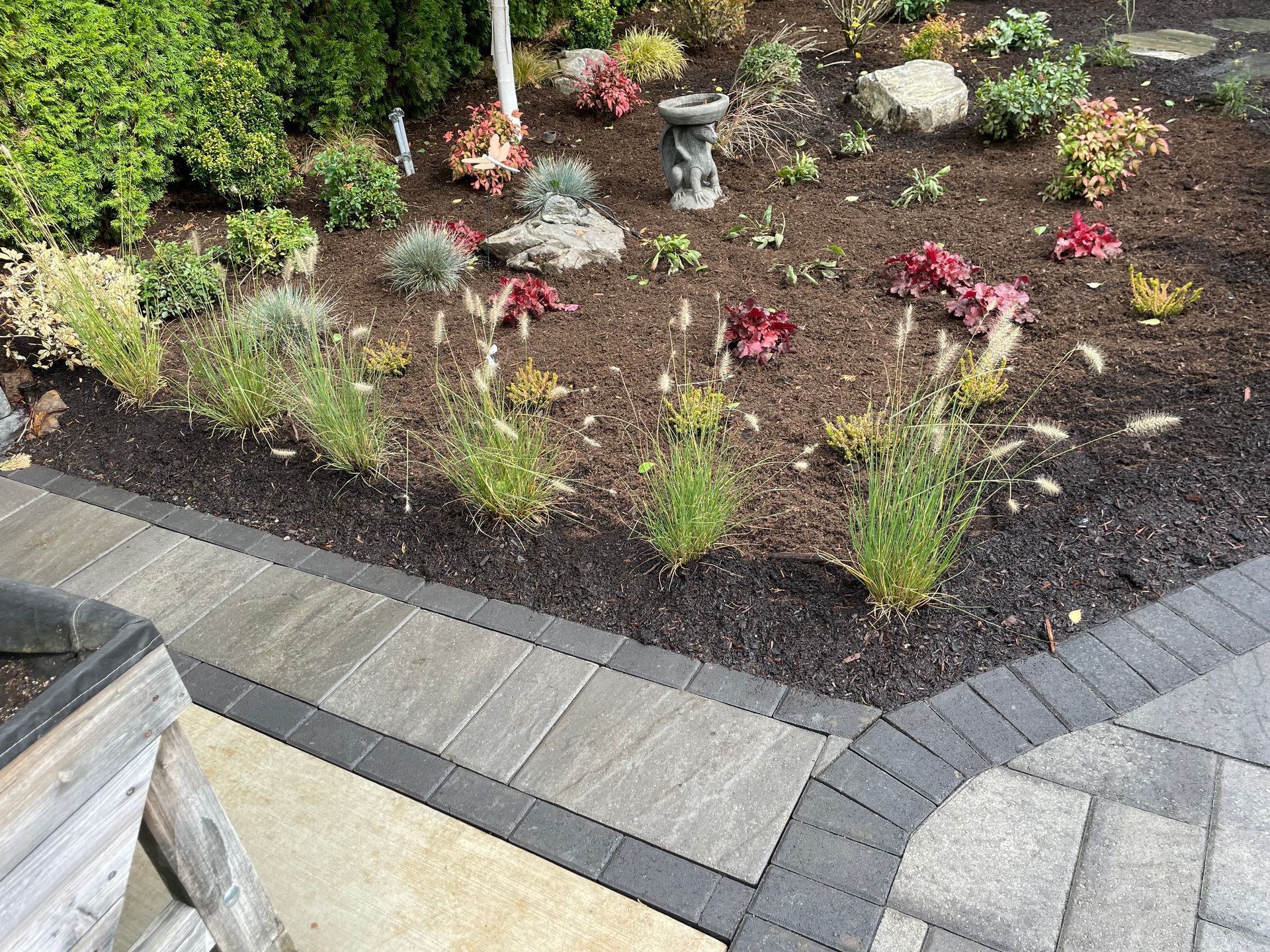 Landscaped garden bed with small flowers and ornamental grasses beside a paved walkway