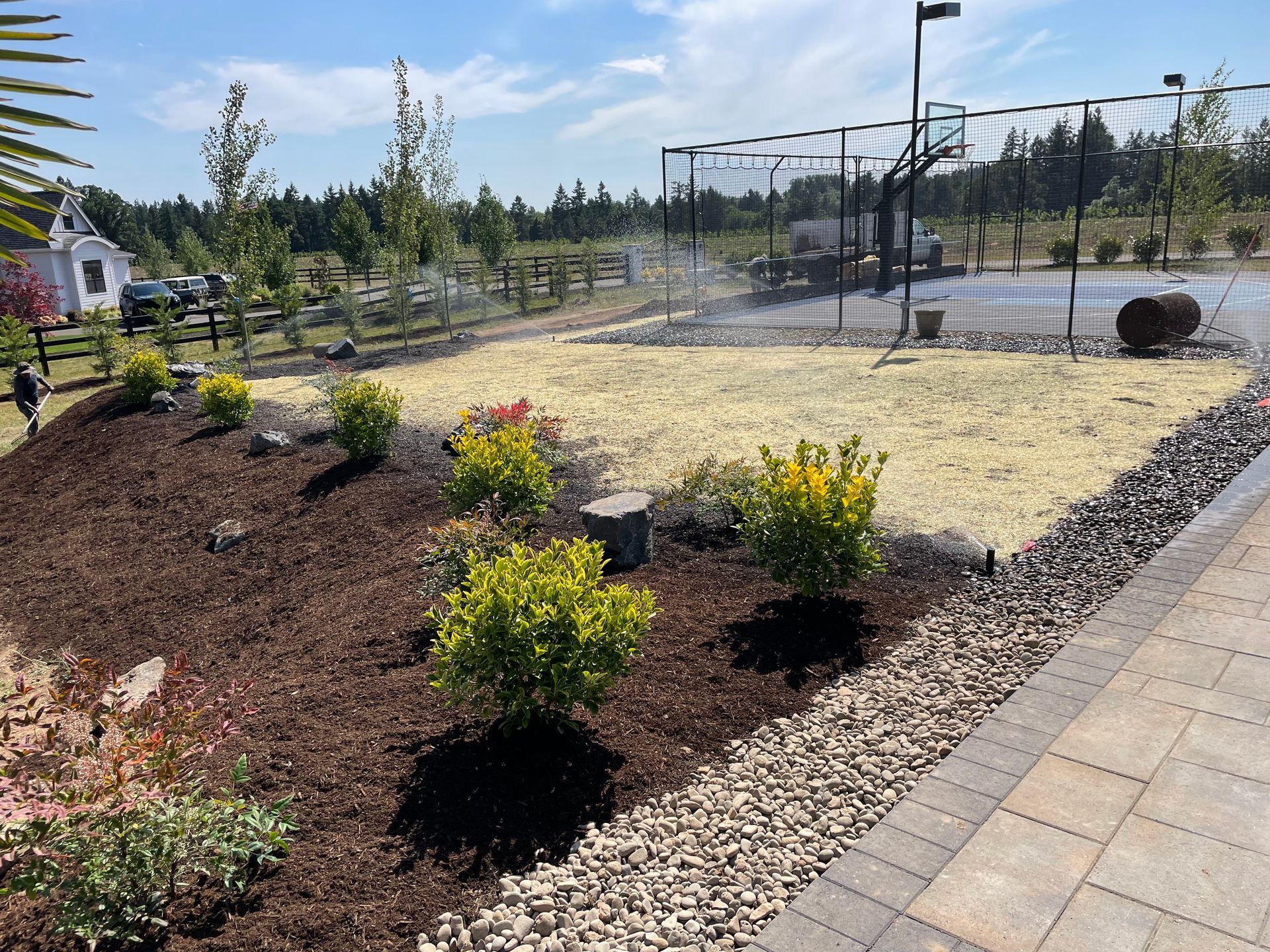 Landscaped garden bed with yellow shrubs, mulch, and paving stones beside a fenced path