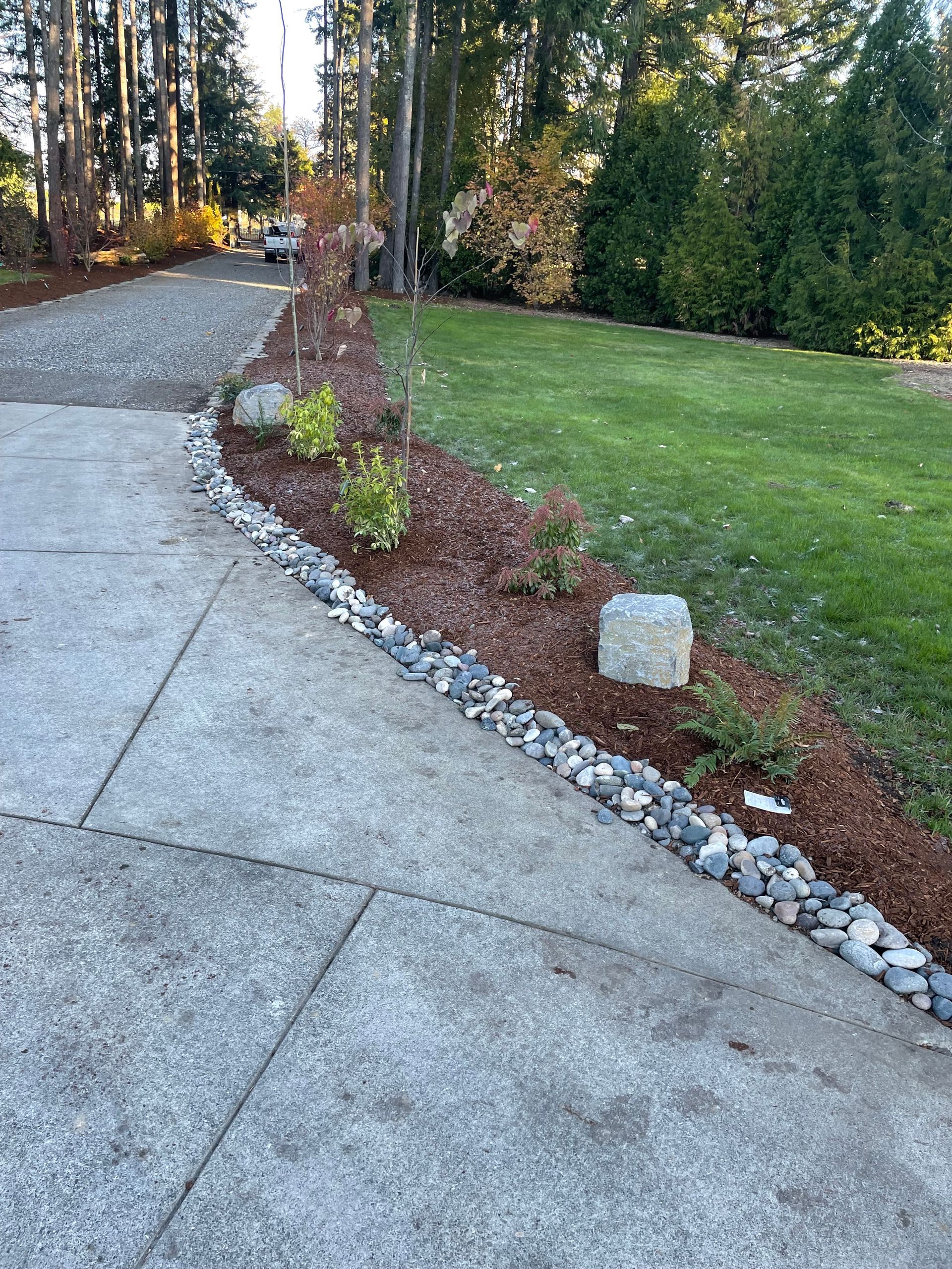 Curving concrete driveway beside a landscaped lawn with mulch, rocks, and tall trees at sunset