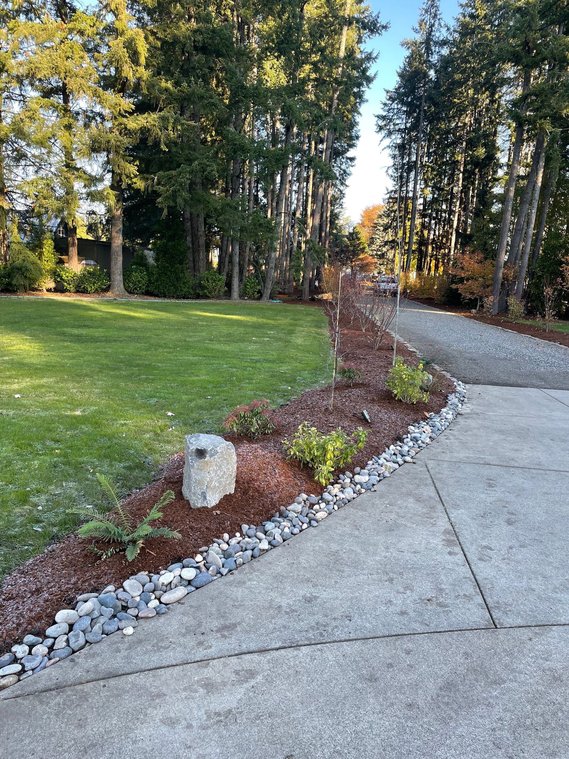 Curved driveway beside a landscaped lawn with rocks, shrubs, and tall trees at sunset