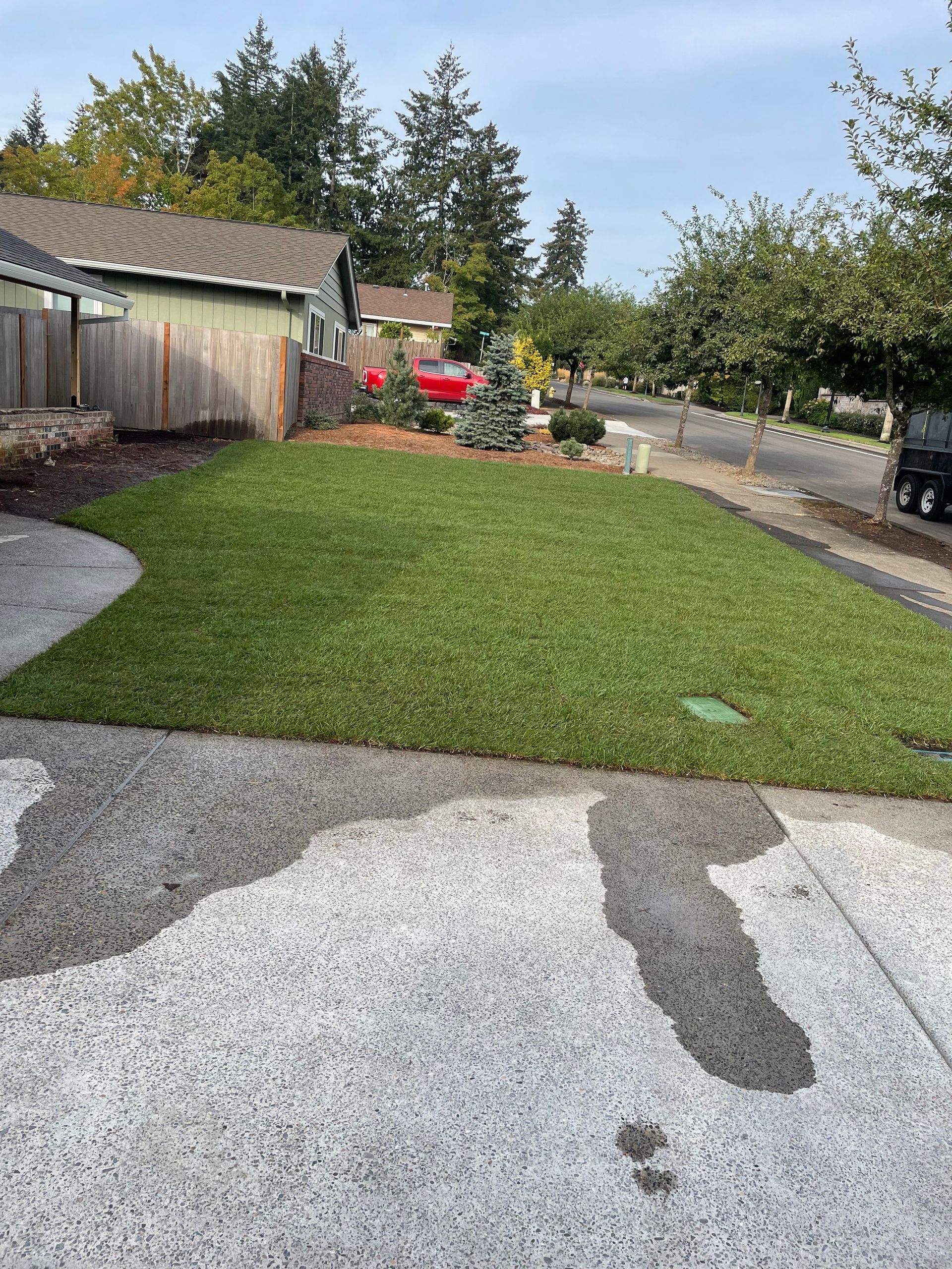 Curved green lawn beside a gravel driveway, with a wooden fence, flowers, and trees in a yard.