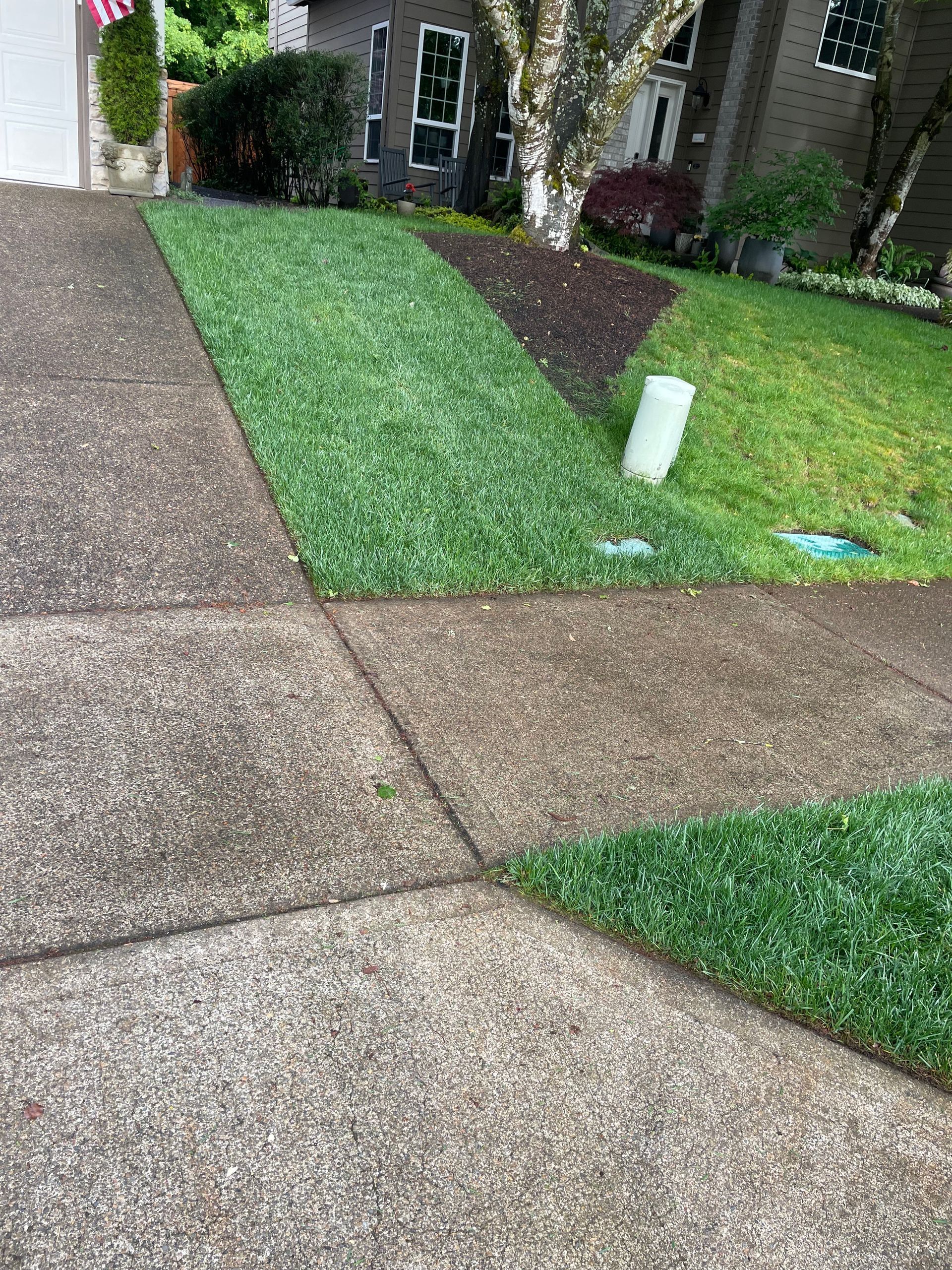 Front yard walkway with concrete paths, green grass, and a small white yard marker near a house entrance