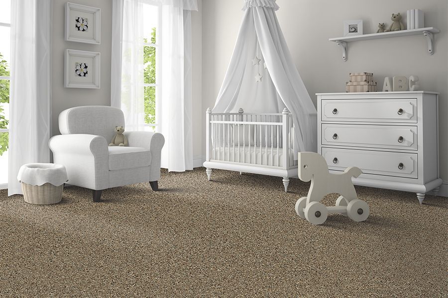 carpet services 1