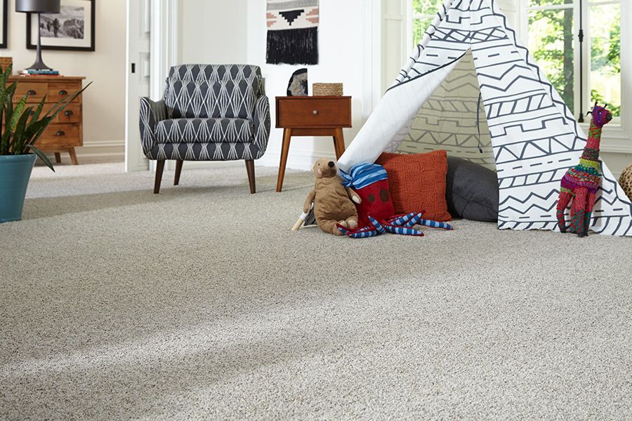 carpet services 3