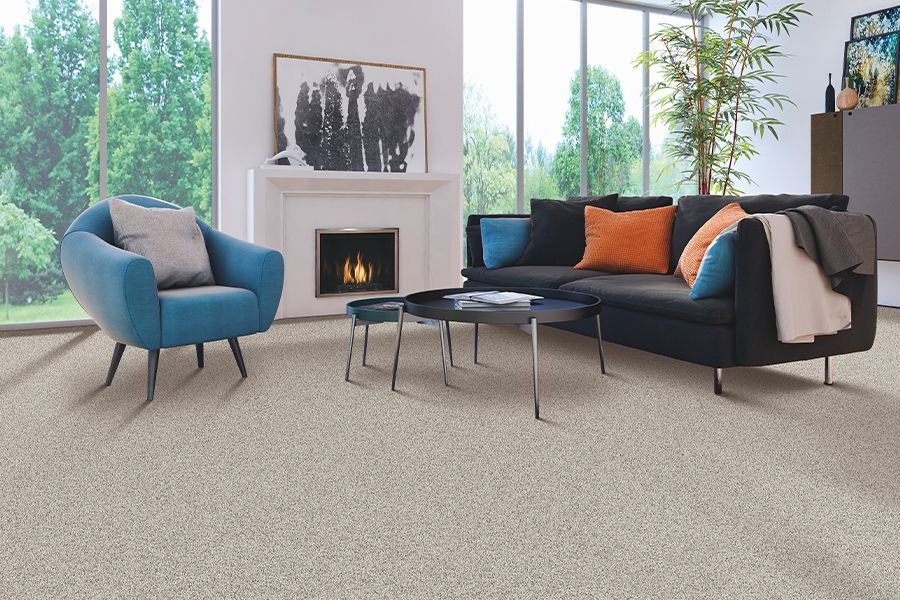 carpet services 4